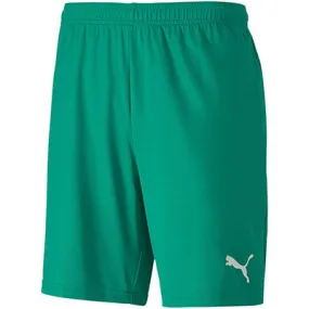 PUMA TEAMGOAL 23 KNIT SHORTS-GREEN
