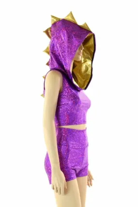 Purple & Gold Spyro Dragon Set