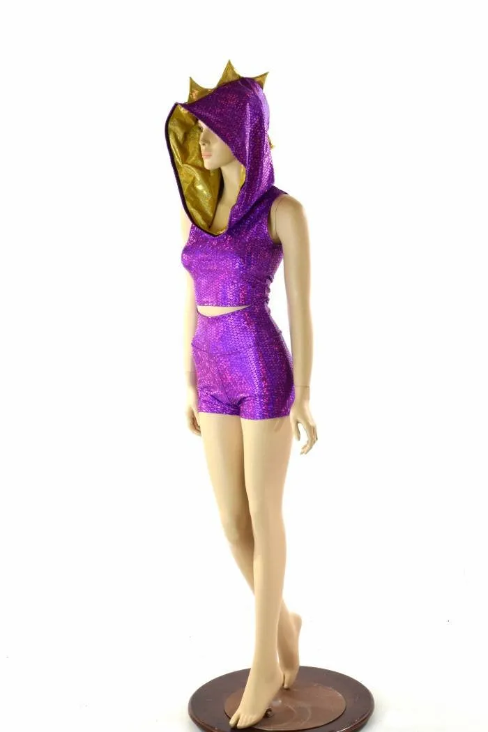 Purple & Gold Spyro Dragon Set