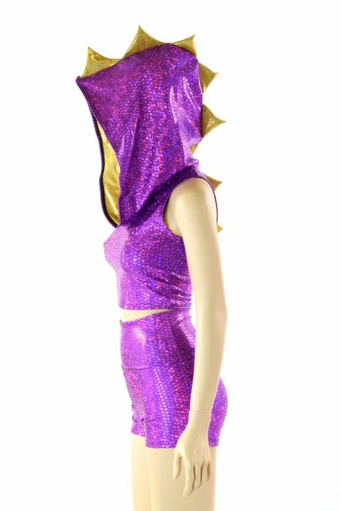 Purple & Gold Spyro Dragon Set