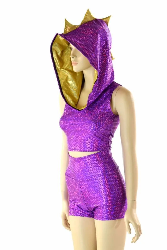 Purple & Gold Spyro Dragon Set